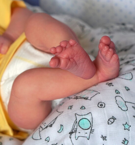 Bebê Reborn de Silicone  sólido - Teo
