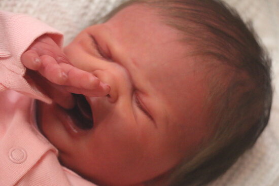 Bebê Reborn de Silicone  sólido - Elisa